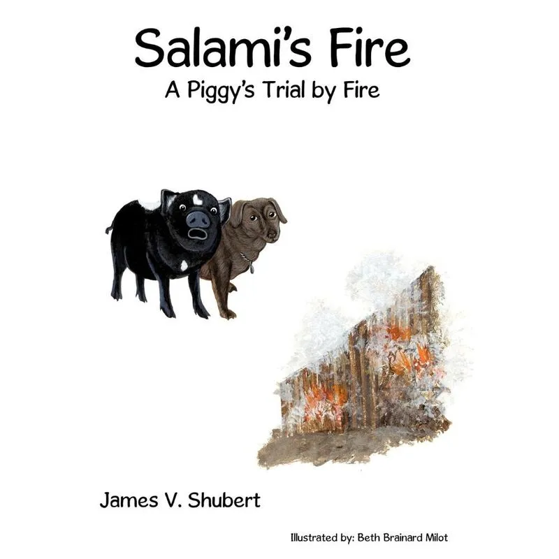 Salamis Fire