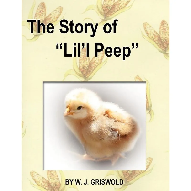 The Story of Lill Peep