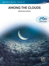 Among the Clouds