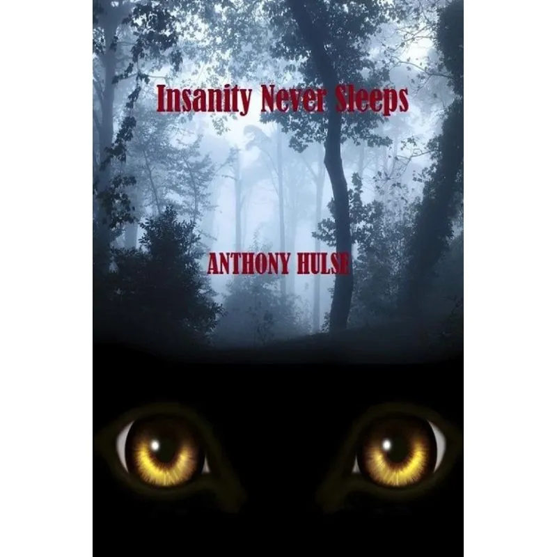 INSANITY NEVER SLEEPS