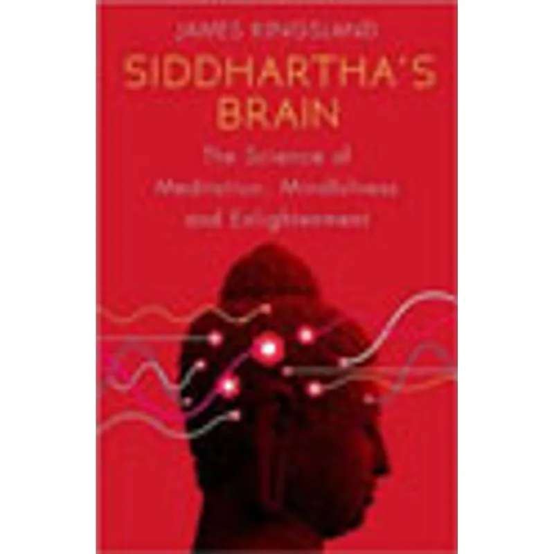 SIDDHARTHA'S BRAIN