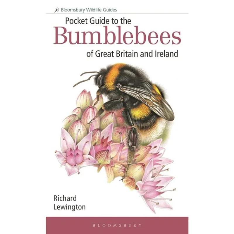POCKET GUIDE TO THE BUMBLEBEES OF GREAT BRITAIN AND IRELAND
