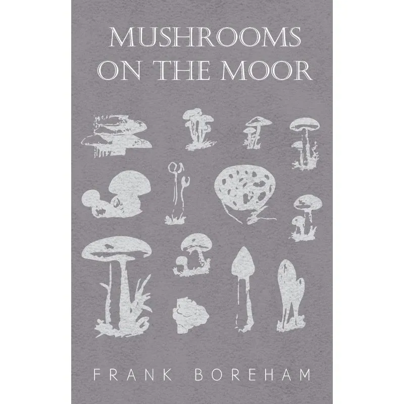 Mushrooms on the Moor