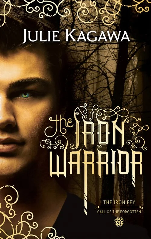 The Iron Warrior (The Iron Fey, Book 7) ebook