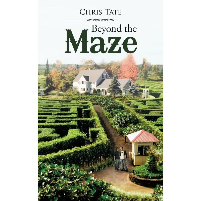 Beyond the Maze