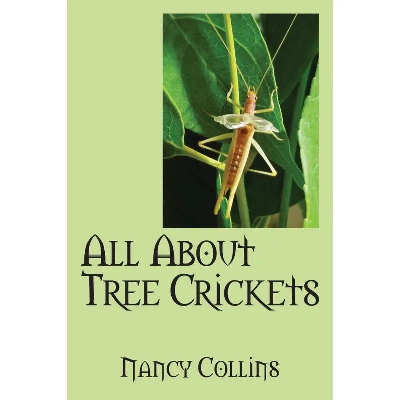 All about Tree Crickets