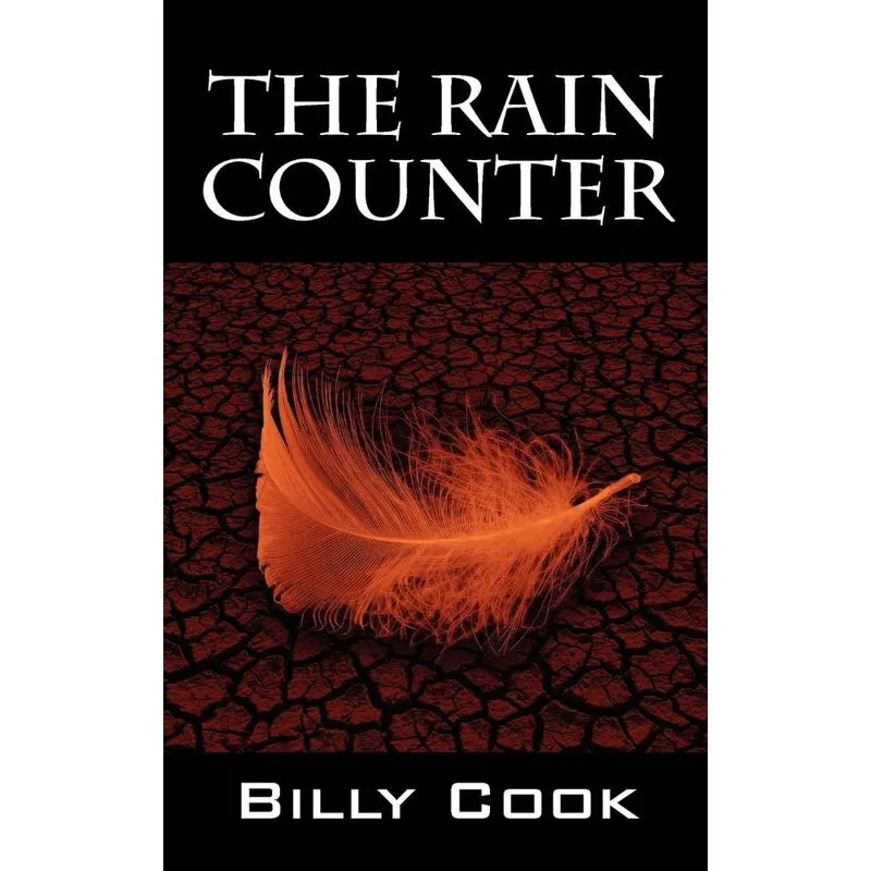 The Rain Counter