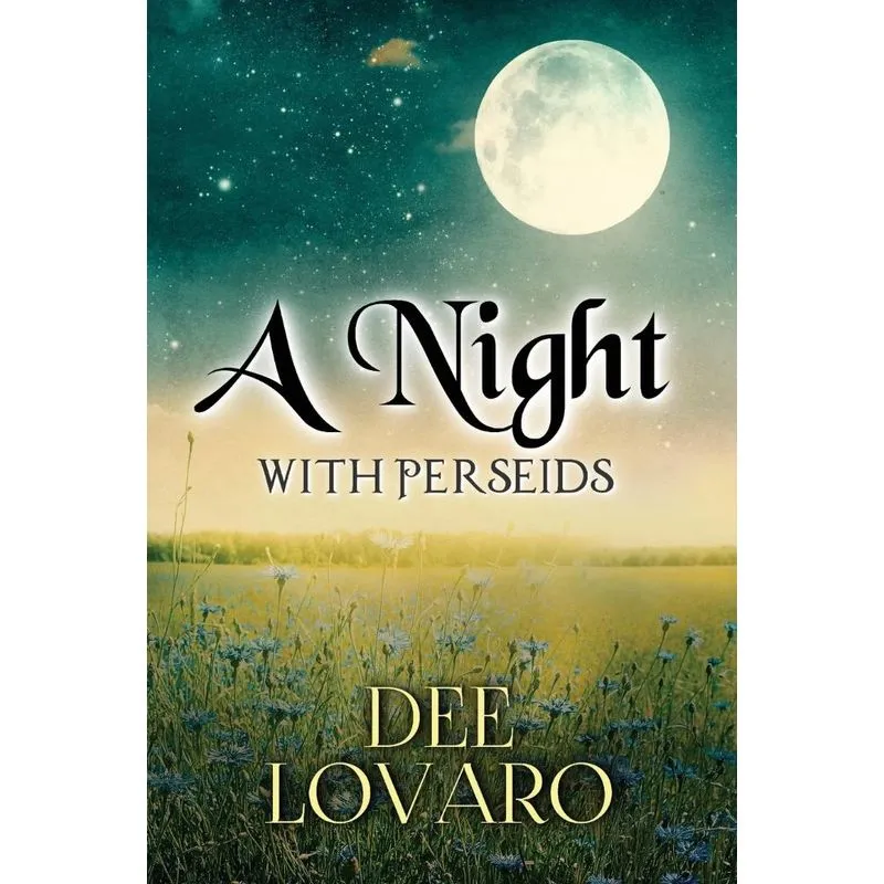 A Night With Perseids