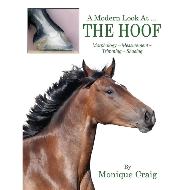 A Modern Look At ... THE HOOF