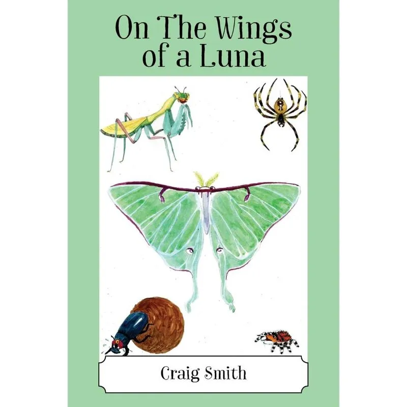 On The Wings of a Luna