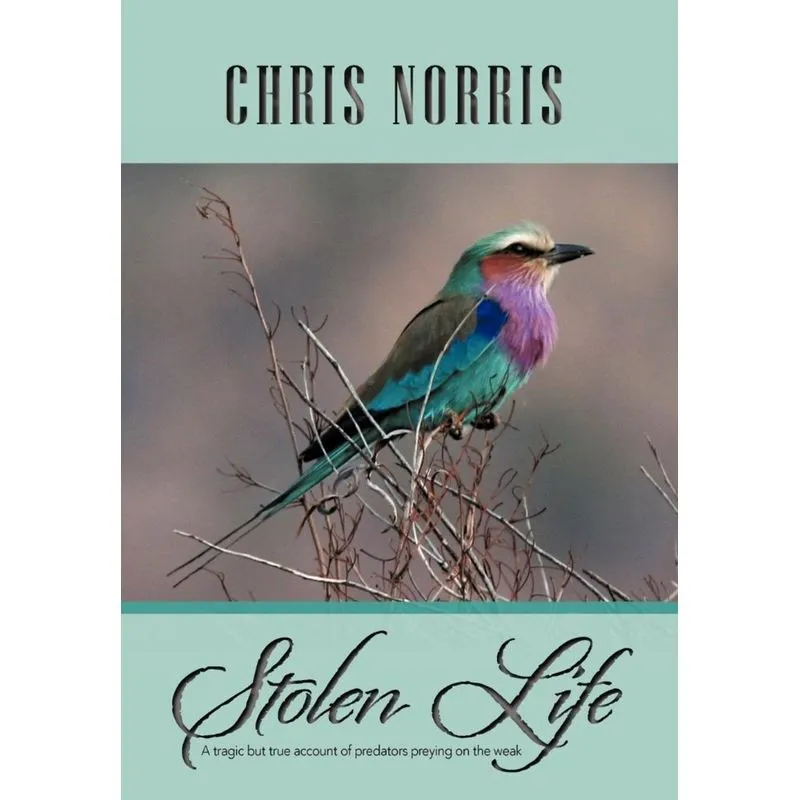 Stolen Life
