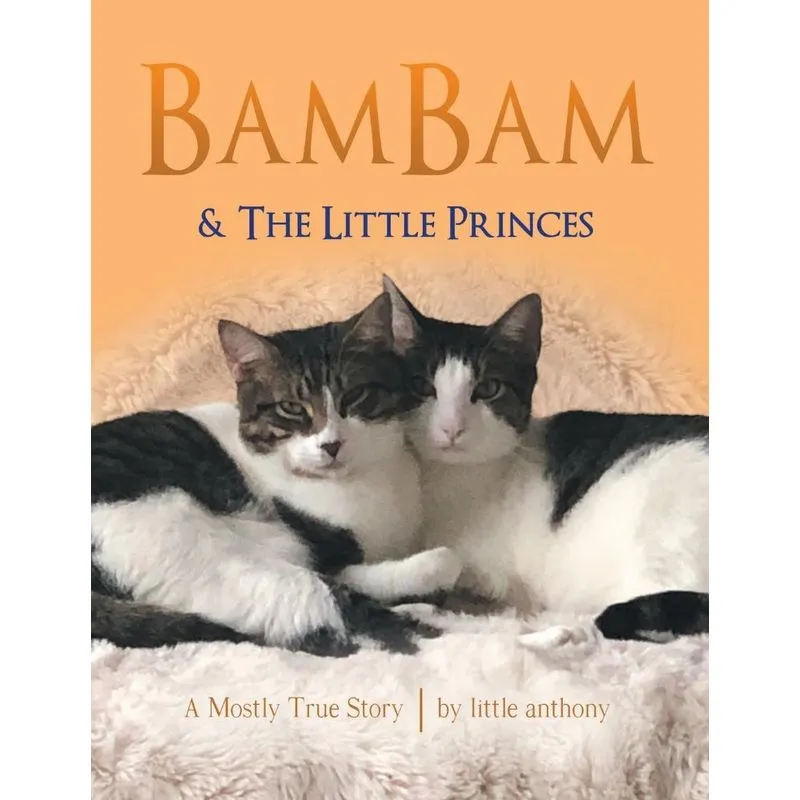 Bambam & the Little Princes