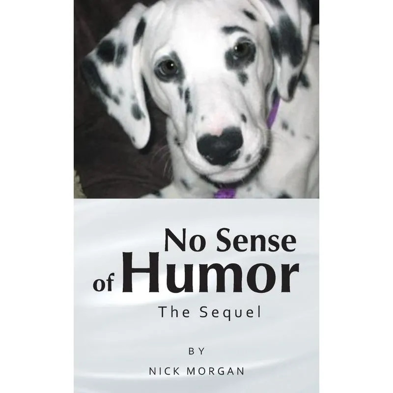 No Sense of Humor