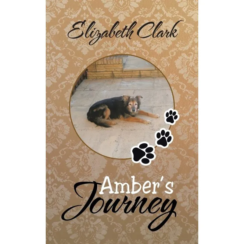 Ambers Journey