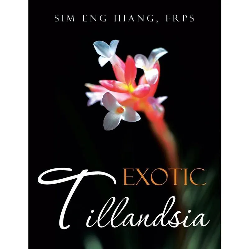 Exotic Tillandsia