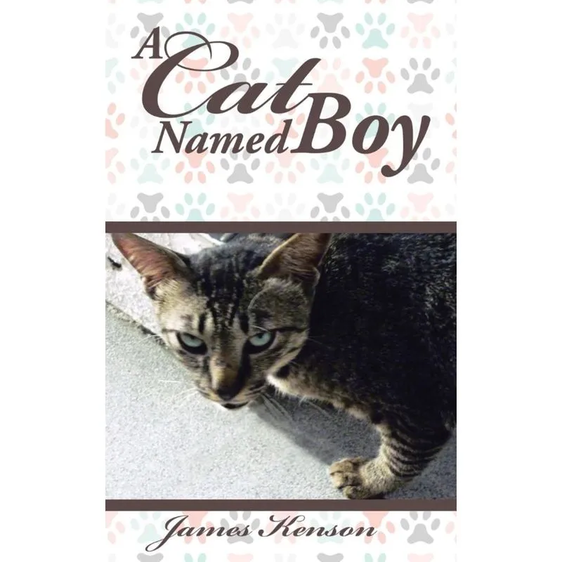A Cat Named Boy