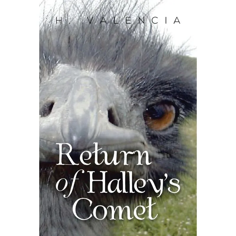Return of Halleys Comet