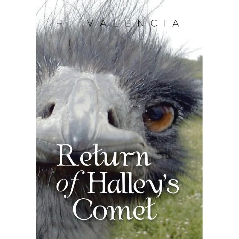 Return of Halleys Comet