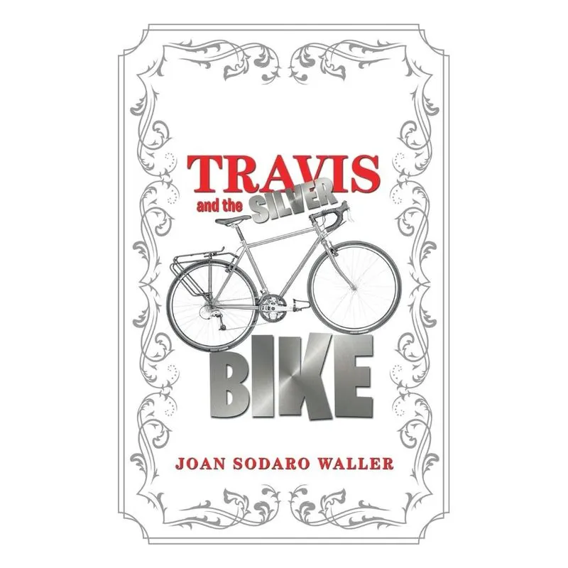 Travis and the Silver Bike