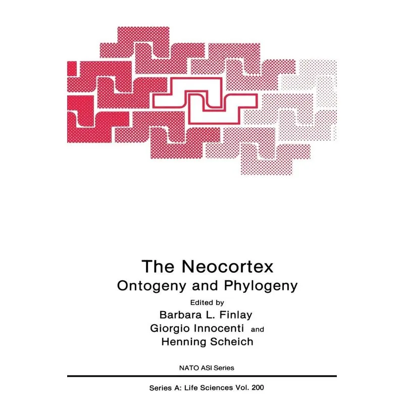 The Neocortex