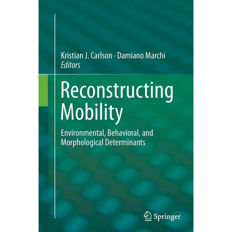 Reconstructing Mobility