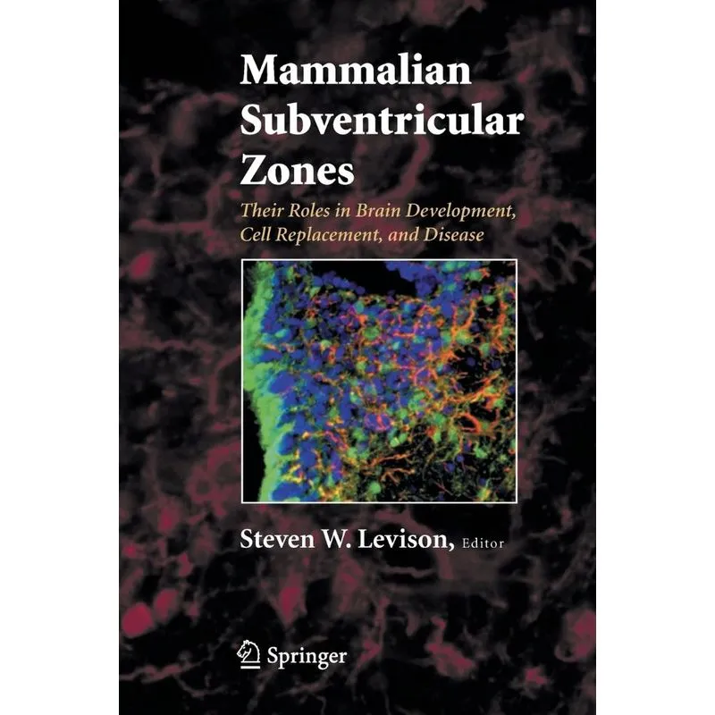 Mammalian Subventricular Zones