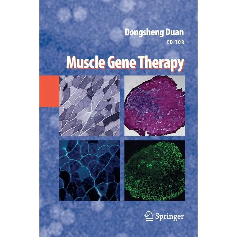 Muscle Gene Therapy
