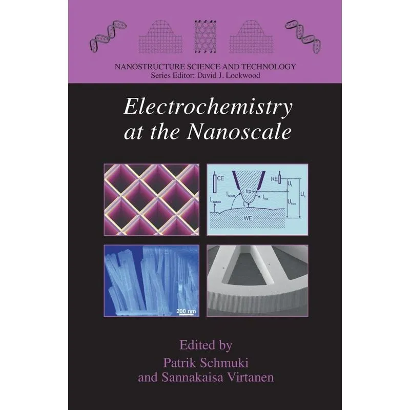 Electrochemistry at the Nanoscale
