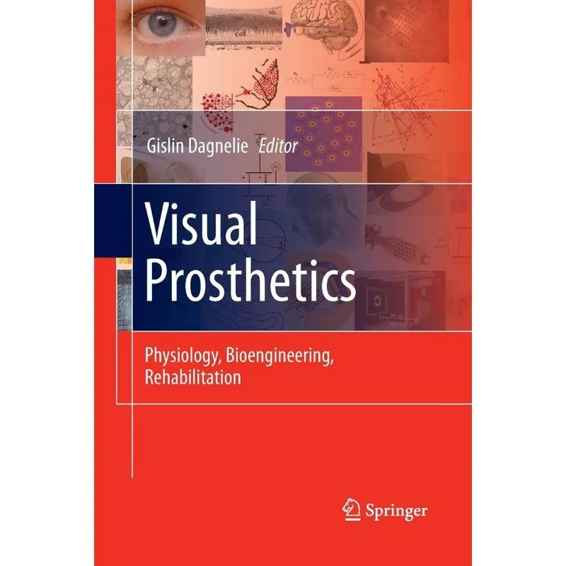 Visual Prosthetics