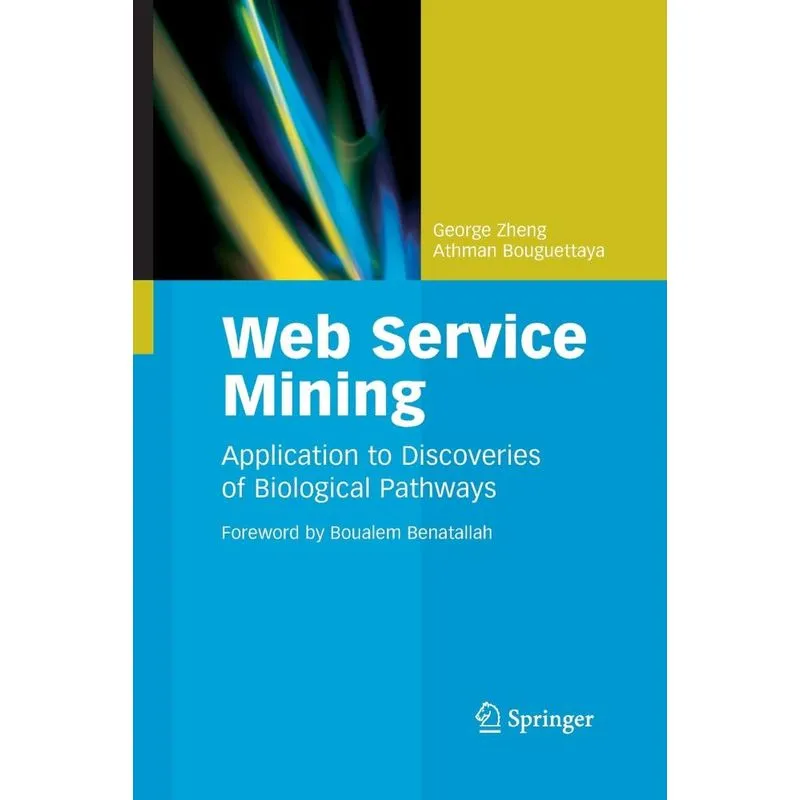 Web Service Mining