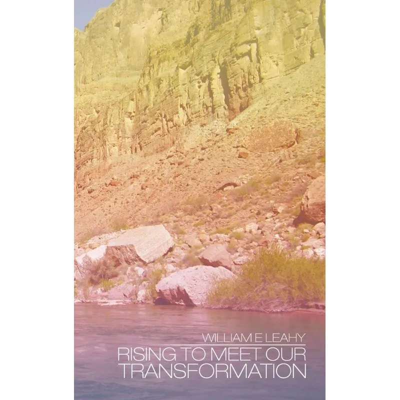 RISING TO MEET OUR TRANSFORMATION