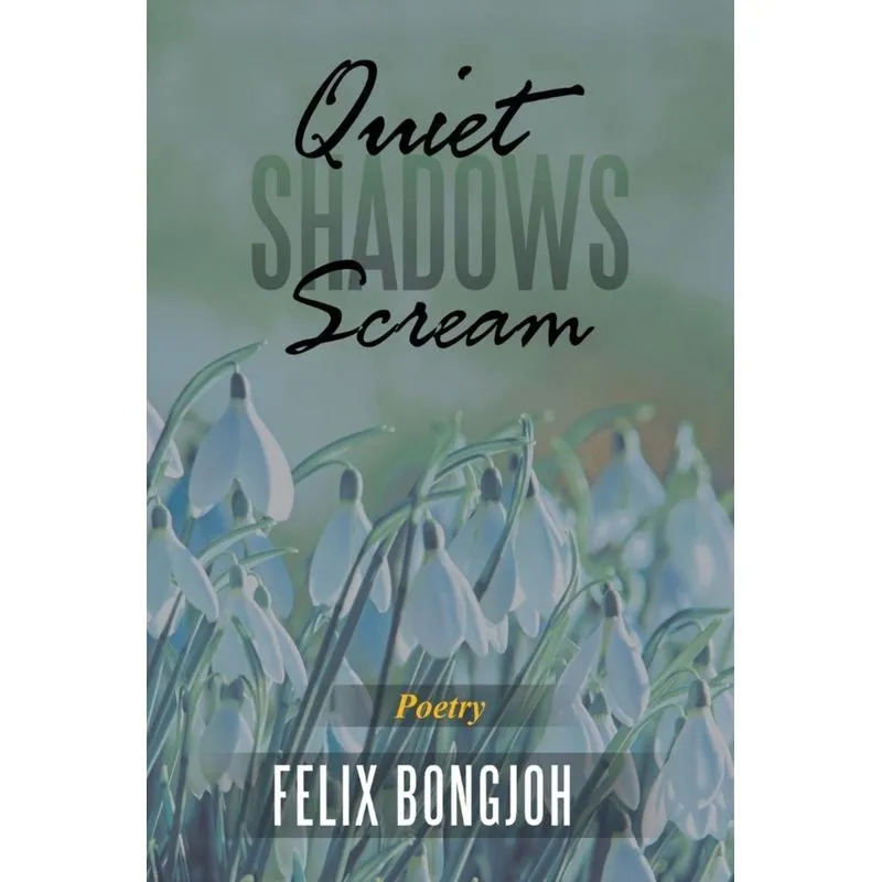 Quiet Shadows Scream