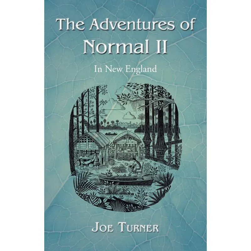 The Adventures of Normal II