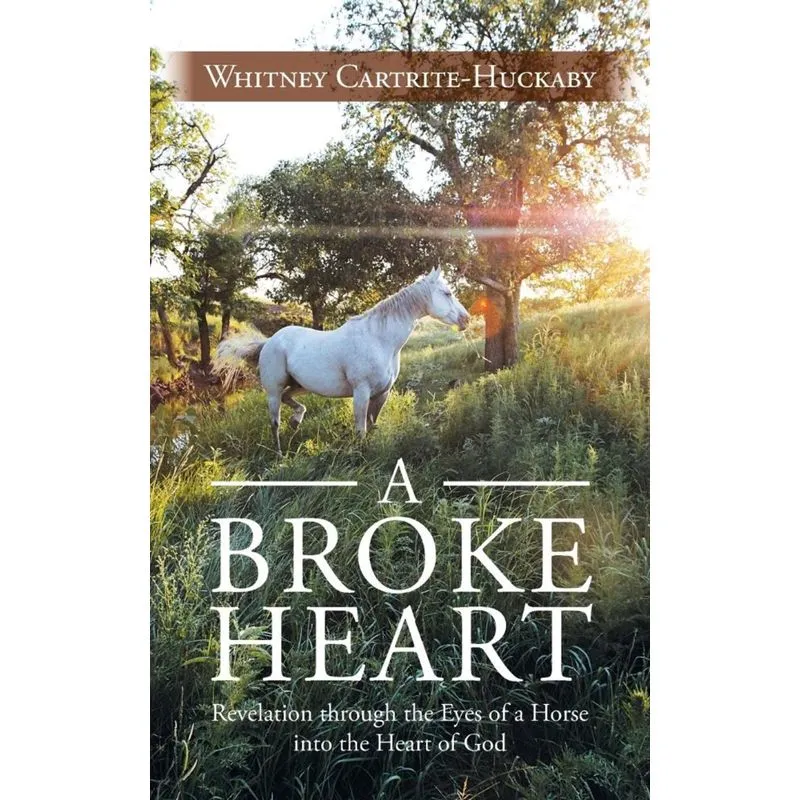 A Broke Heart