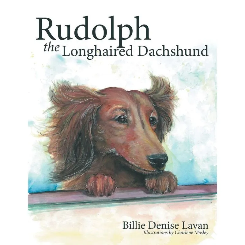 Rudolph the Longhaired Dachshund