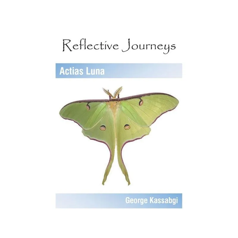 Reflective Journeys