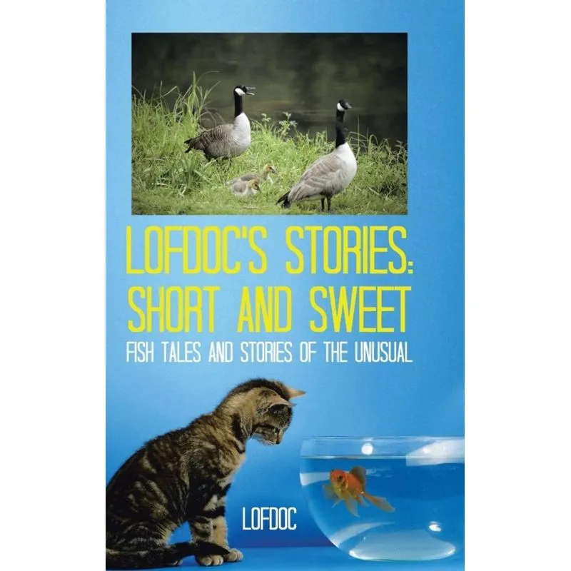 Lofdocs Stories