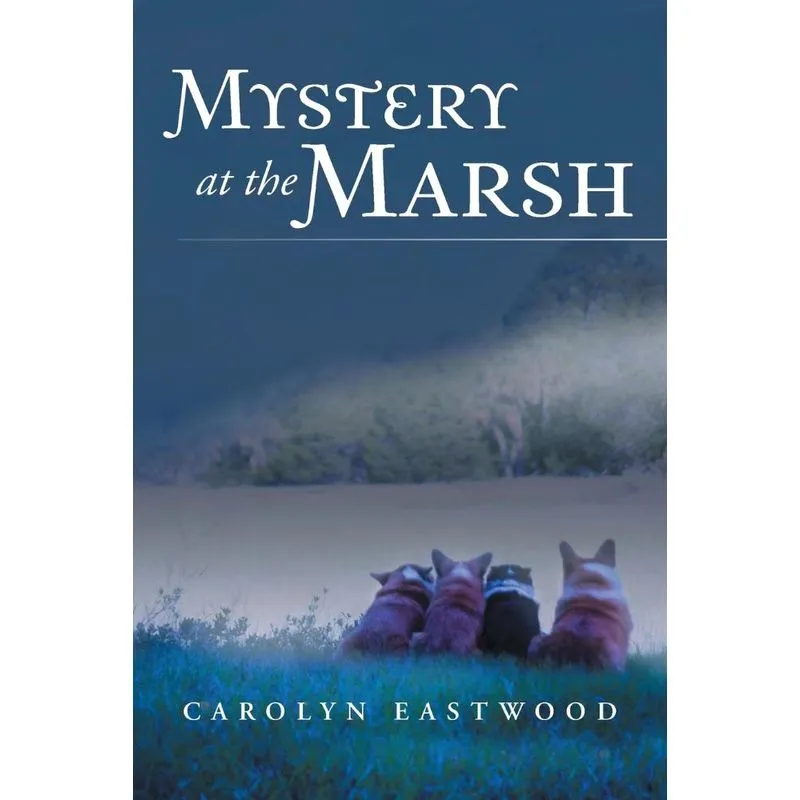 Mystery at the Marsh