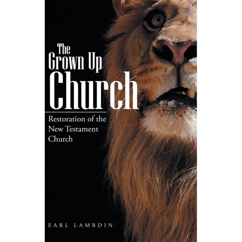 The Grown Up Church