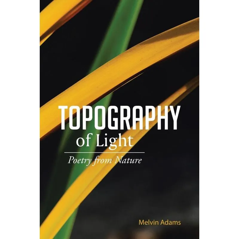 Topography of Light