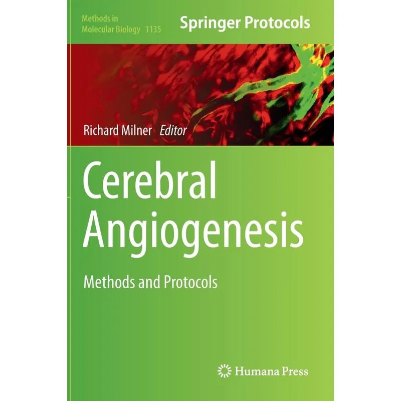Cerebral Angiogenesis