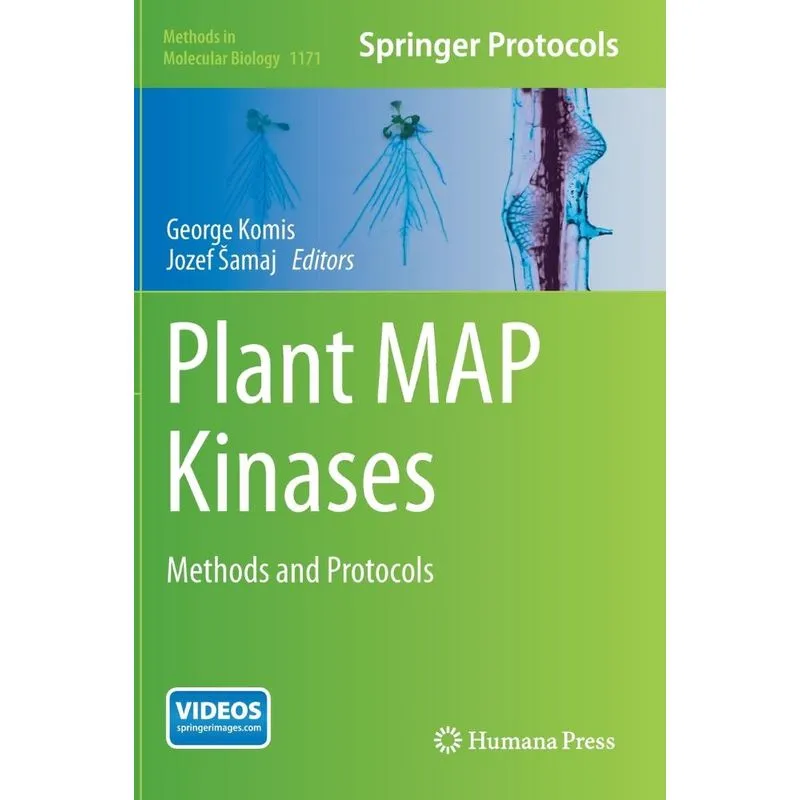 Plant Map Kinases