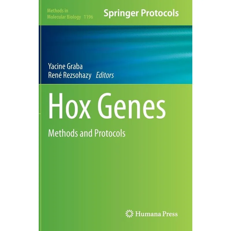 Hox Genes