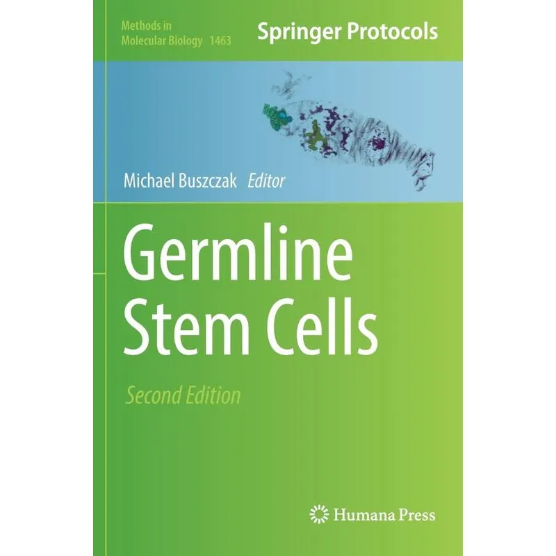 Germline Stem Cells