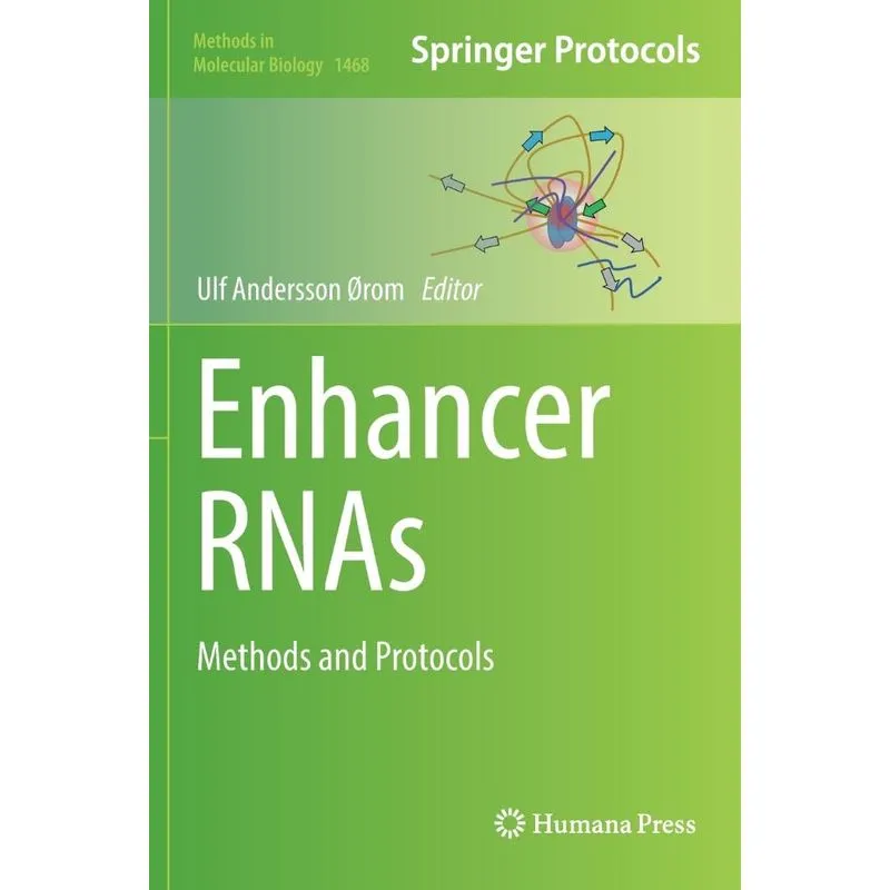Enhancer RNAs