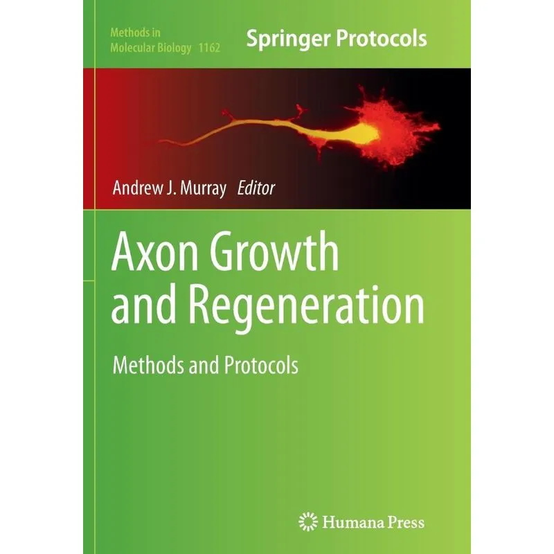 Axon Growth and Regeneration