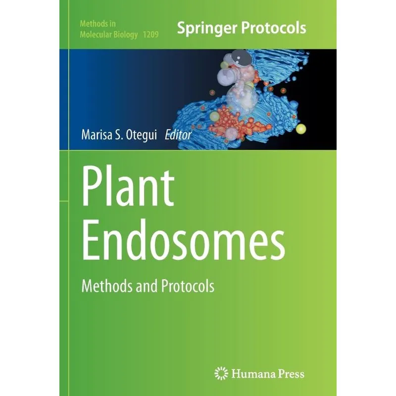 Plant Endosomes