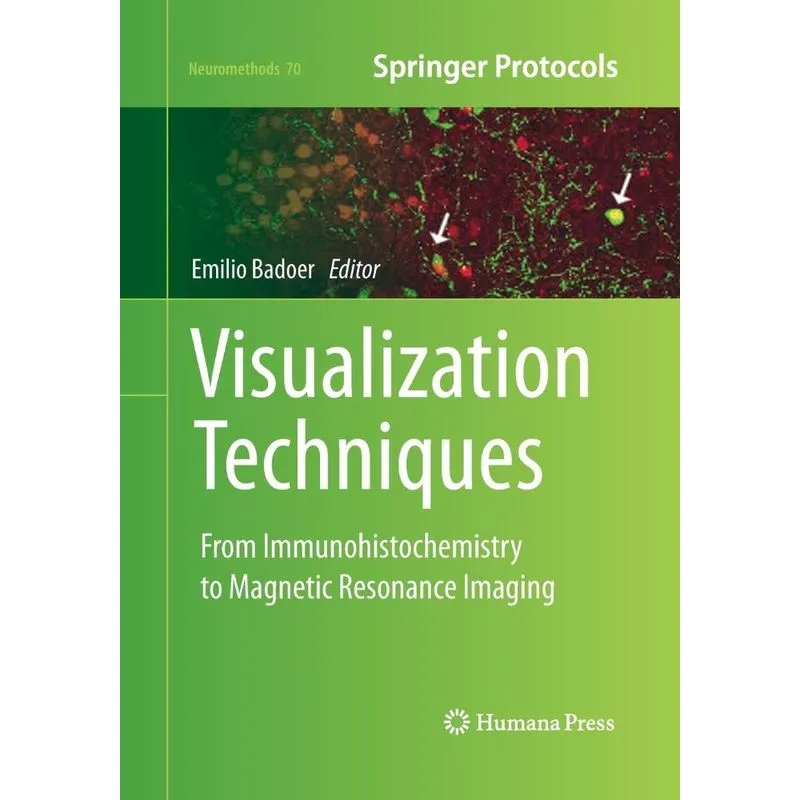 Visualization Techniques