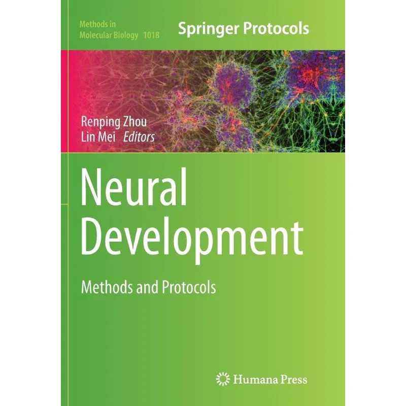 Neural Development