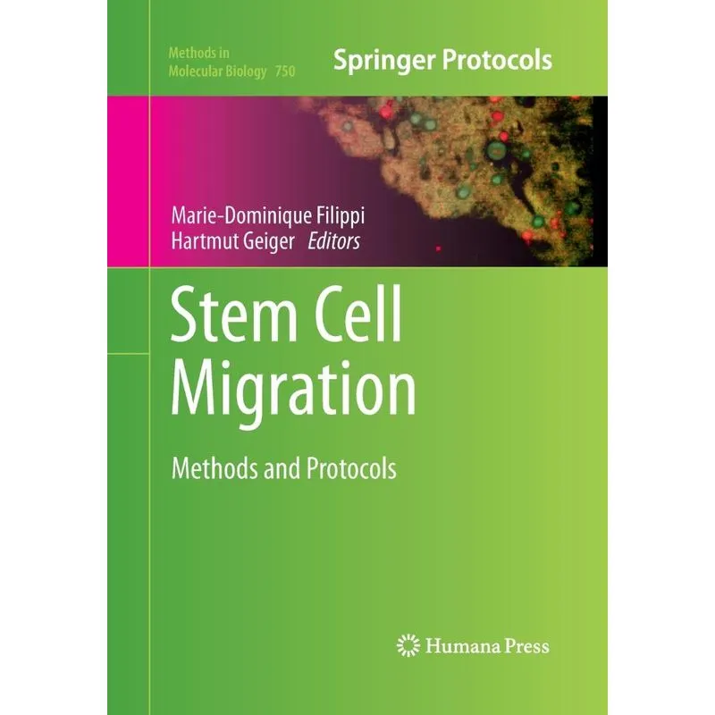 Stem Cell Migration
